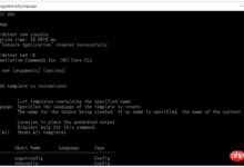 dotnet 命令如何使用？