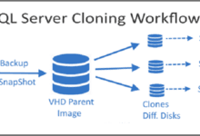 sql server是什么意思