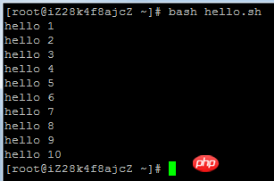 z1-1.png